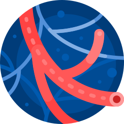 clinica angiologia avanzada